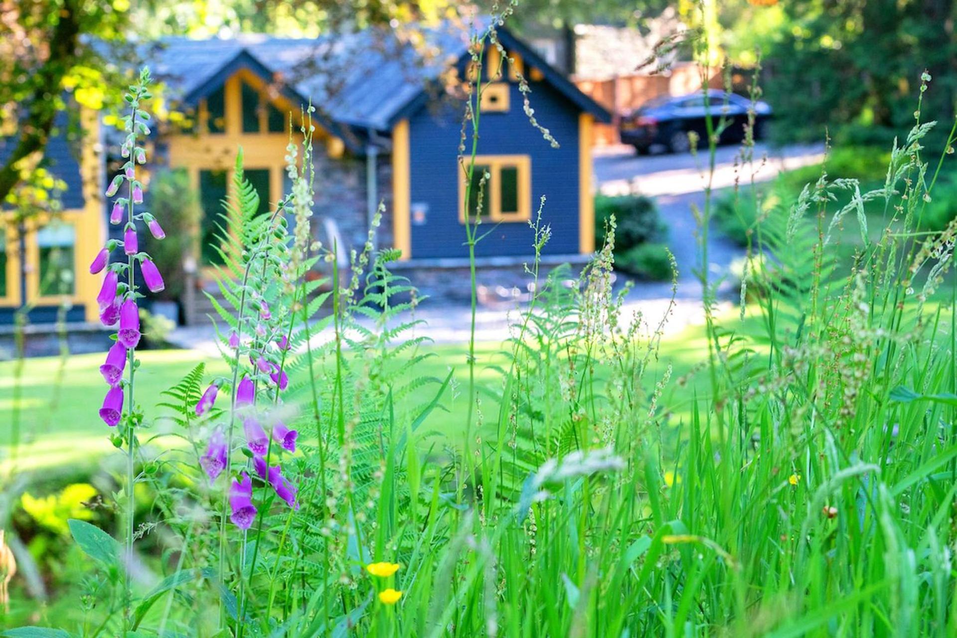Carr Crag Pavilion Little Langdale Buitenkant foto